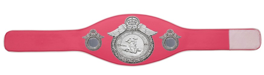 MMA CHAMPIONSHIP BELT-PROWING/S/MMAS - AVAILABLE IN 6+ COLOURS MMA CHAMPIONSHIP BELT-PROWING/S/MMAS - AVAILABLE IN 6+ COLOURS
